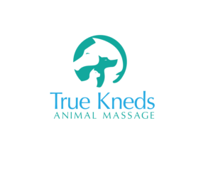 Logo Design by renderman