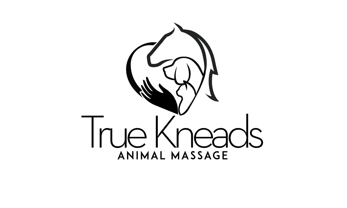 Logo Design by trufya for this project | Design #26214780