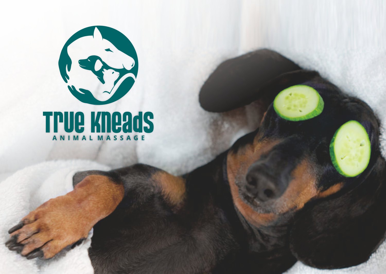 Logo Design by mamik for this project | Design #26210427