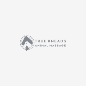 Diseño de Logo por ThiagoB para este proyecto | Diseño: #26213749