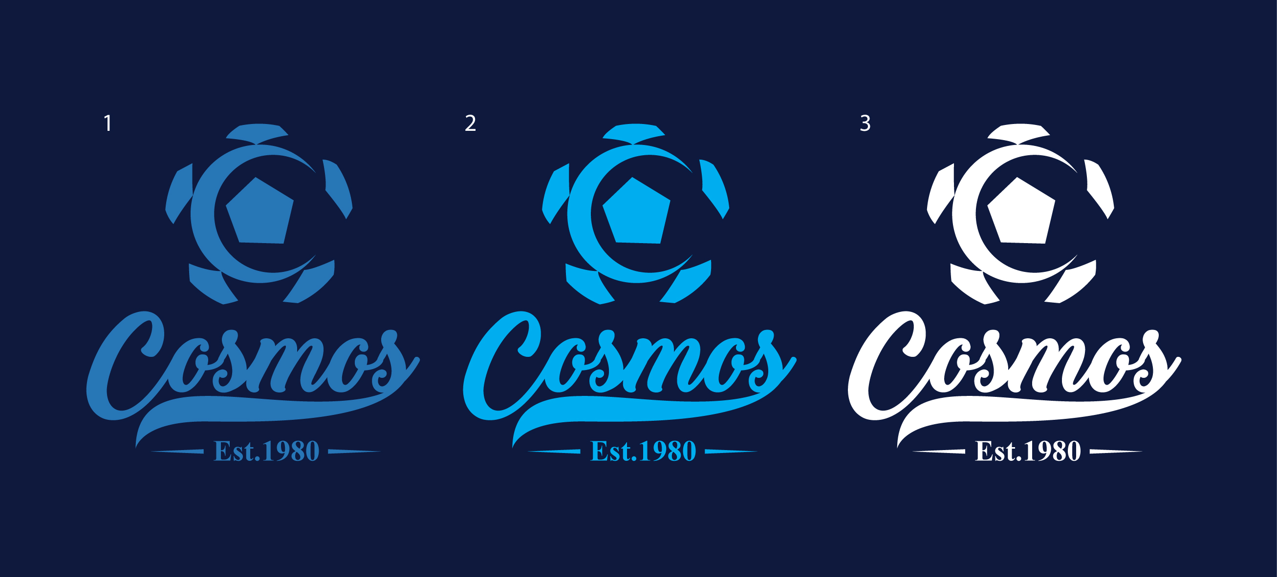 Logo Design by geni for this project | Design #26210679