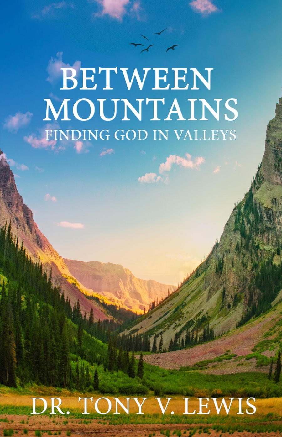 Book Cover Design by Tatyana Tomskaya for Christian Bible Institute & Seminary  | Design #26219762