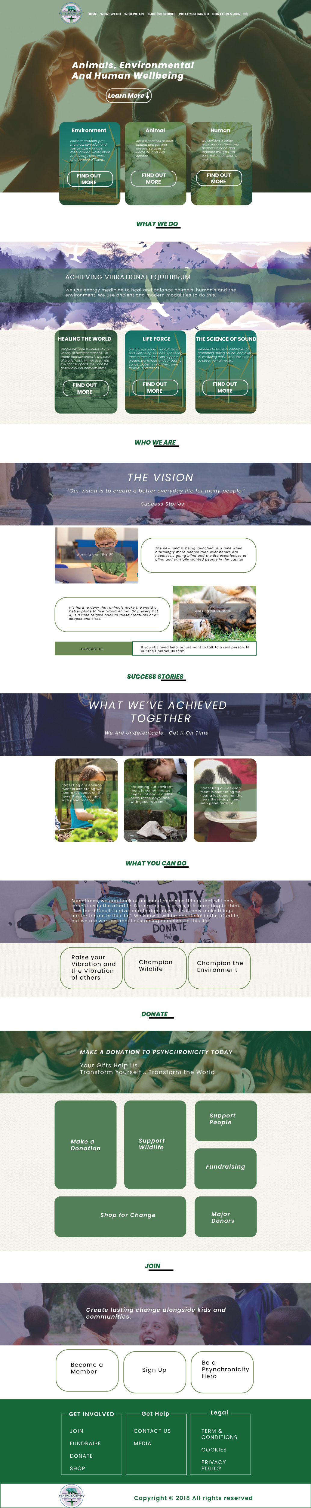 Web Design par DANISH AZHAR 2 pour ce projet | Design #26230402