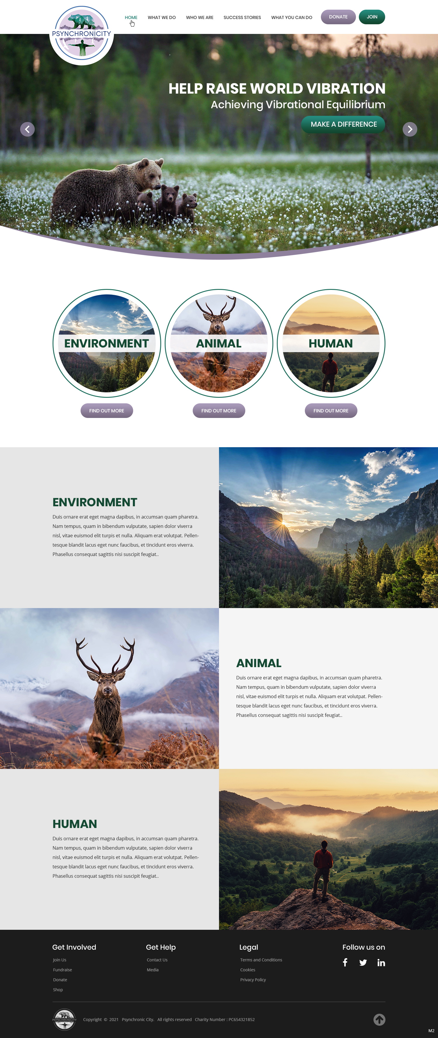 Diseño Web por pb para este proyecto | Diseño #26223285