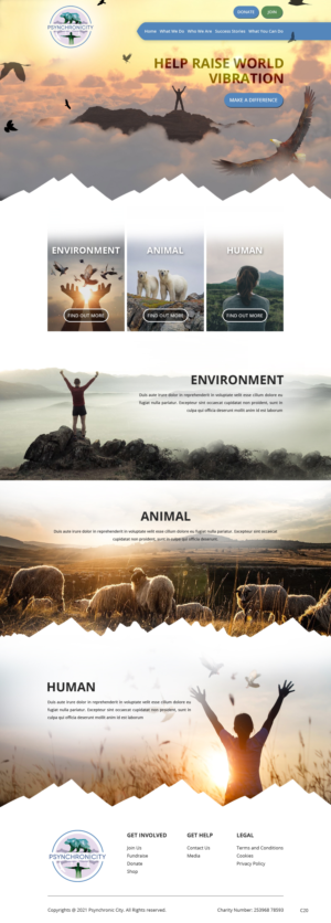 Web Design par pb pour ce projet | Design : #26236447