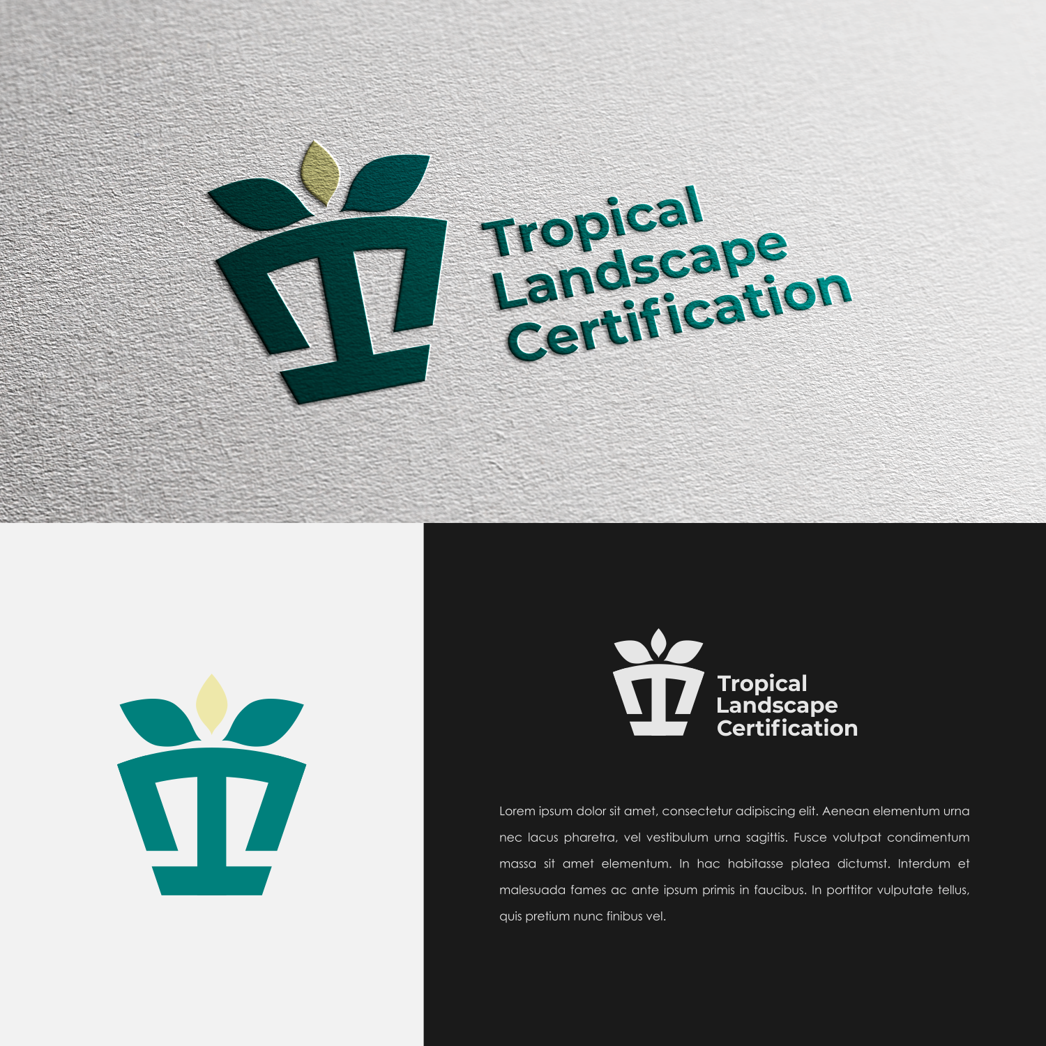Logo-Design von diasfebim für TLC | Design #26214413