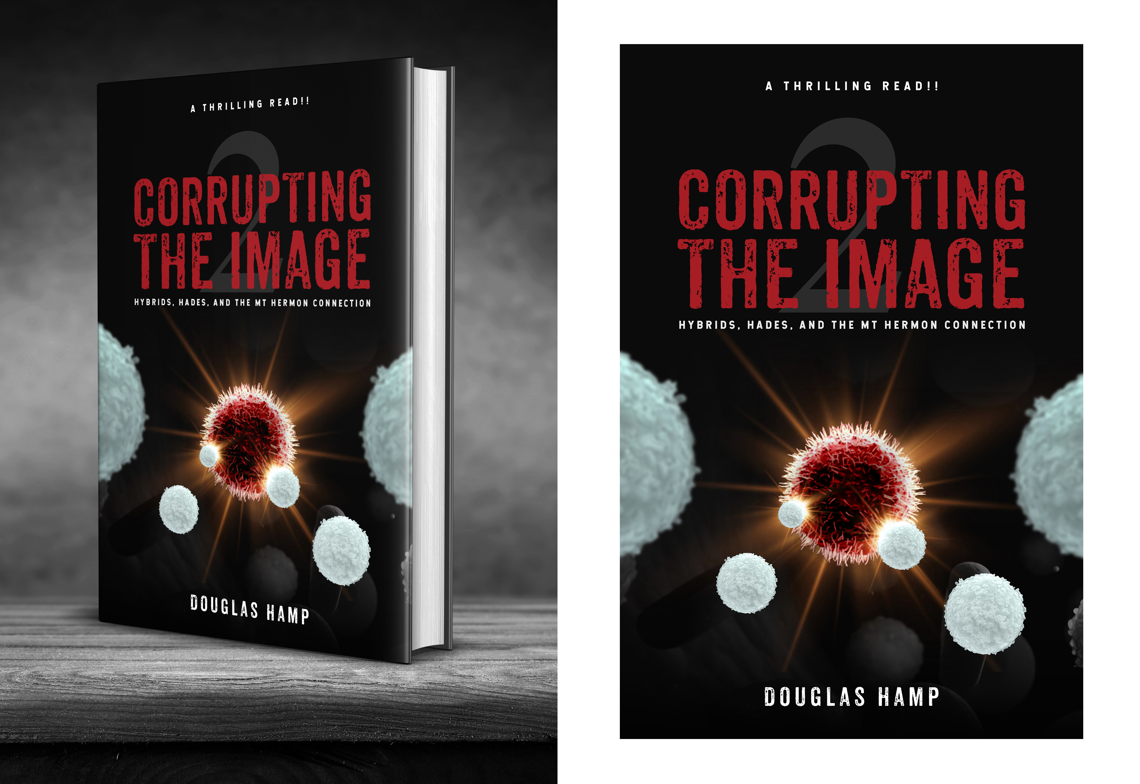 Book Cover Design by SAI DESIGNS for this project | Design #26275977