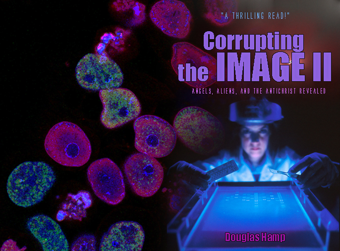 Book Cover Design by Vogue6 for this project | Design #26245093