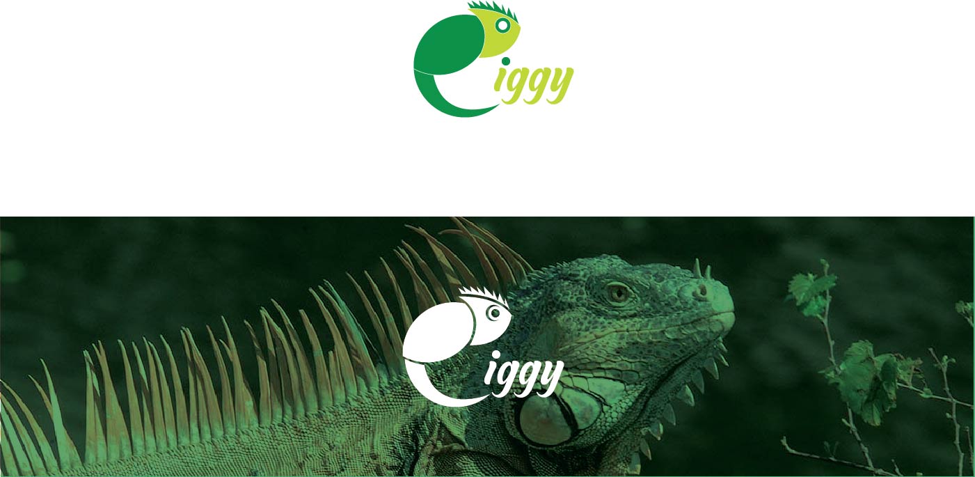 Logo Design by HifjurRahmanAsad for Royal Computers | Design #26228649