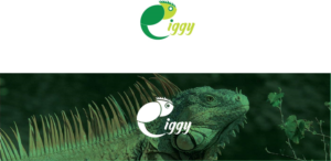 Logo Design by HifjurRahmanAsad for Royal Computers | Design: #26228649