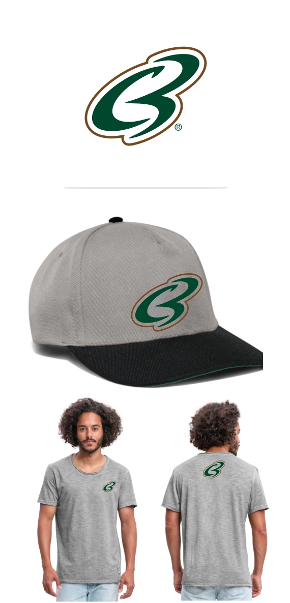 Diseño de Logo por iamrady para este proyecto | Diseño #26243610