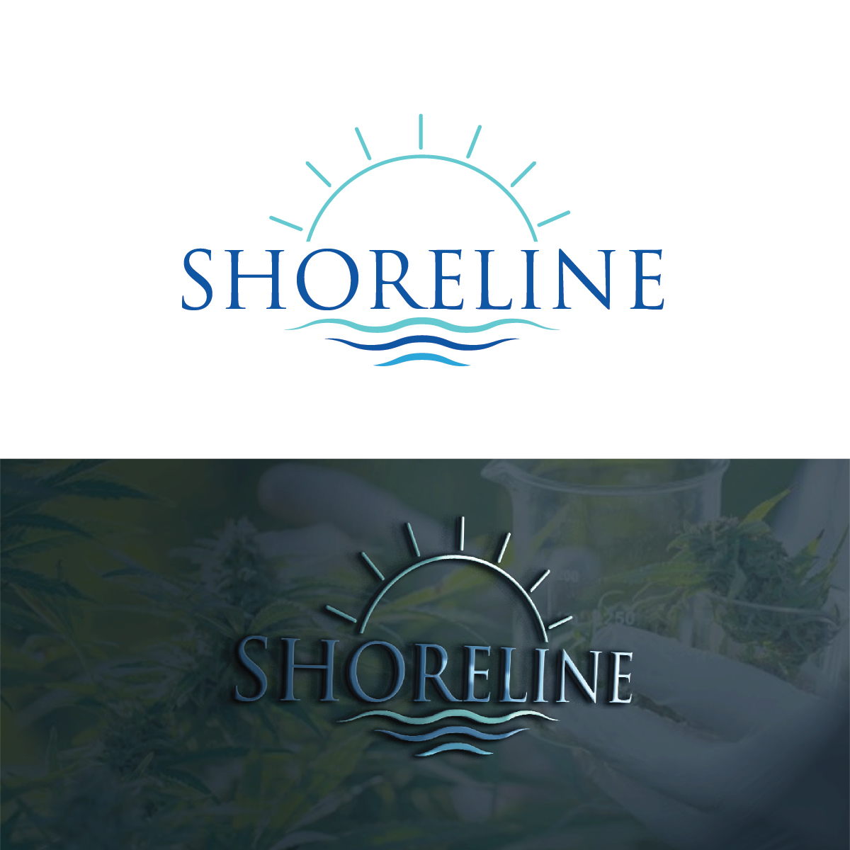 Diseño de Logo por Deziners Zone para este proyecto | Diseño #26228767