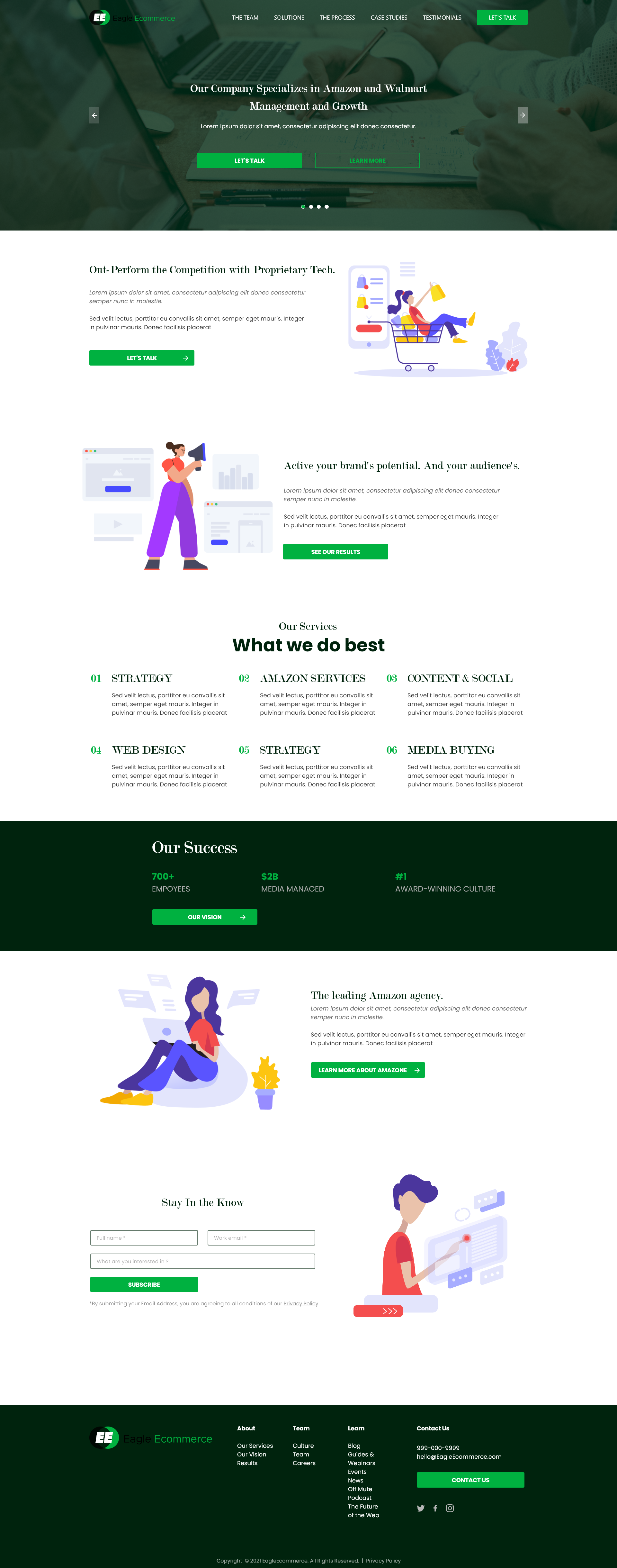 Web Design by Zayd for Eagle Ecommerce LLC | Design #26288297