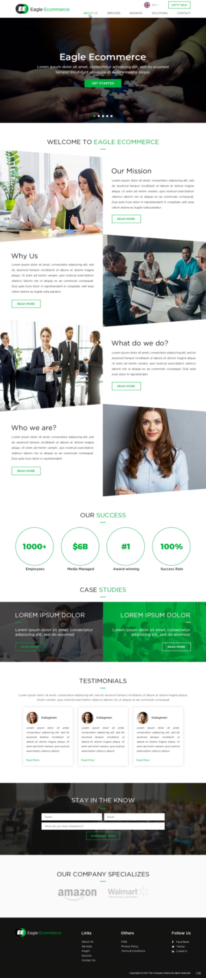 Web Design by pb for Eagle Ecommerce LLC | Design: #26254376