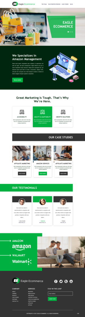 Web Design by pb for Eagle Ecommerce LLC | Design: #26254377