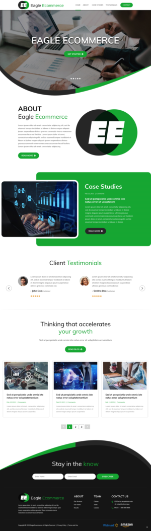 Web Design by pb for Eagle Ecommerce LLC | Design: #26254378