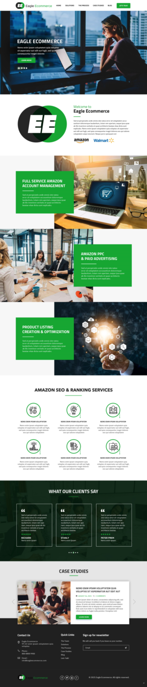 Web Design by pb for Eagle Ecommerce LLC | Design: #26254379