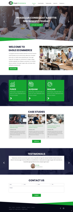 Web Design by pb for Eagle Ecommerce LLC | Design: #26254382