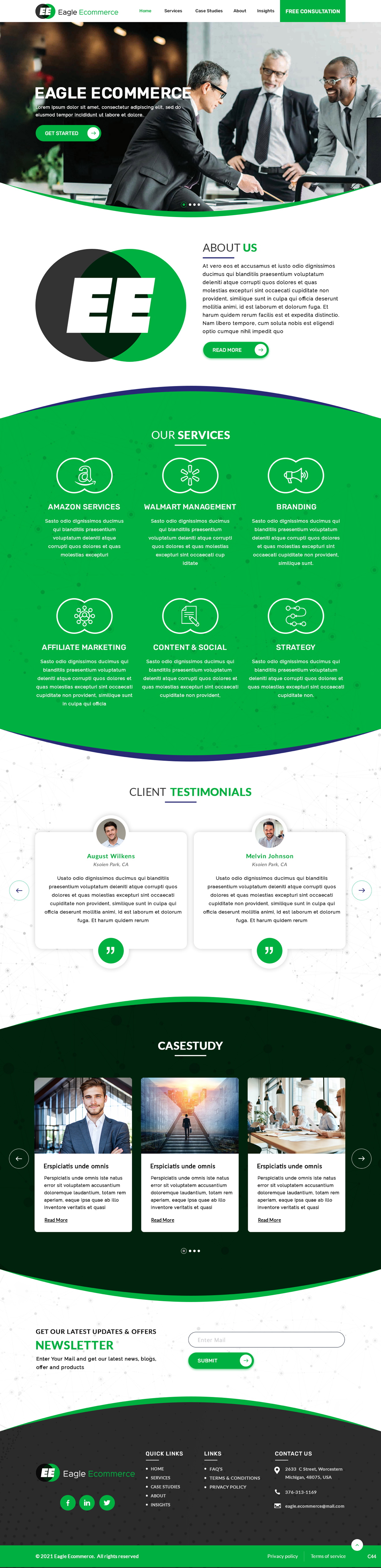 Web Design by pb for Eagle Ecommerce LLC | Design: #26254384