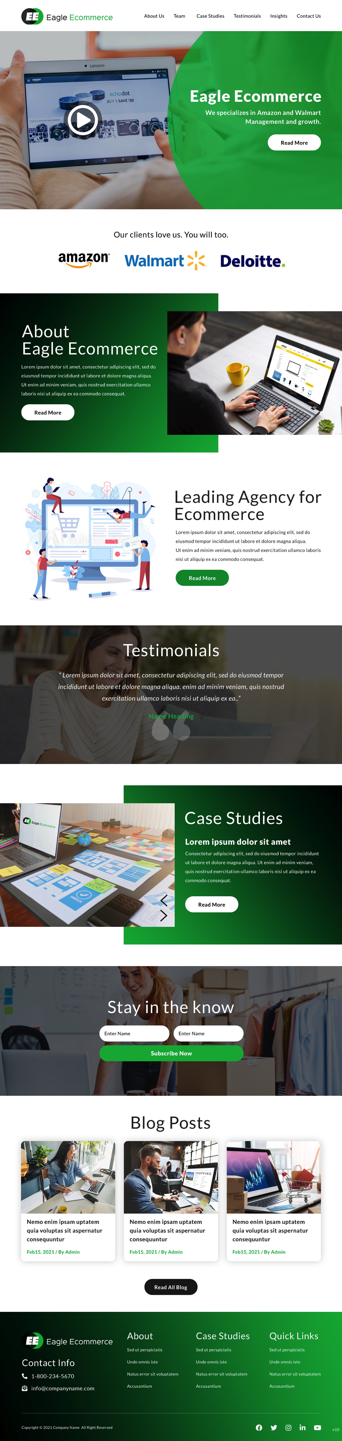 Web Design by pb for Eagle Ecommerce LLC | Design #26254386