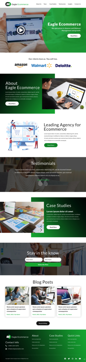 Web Design by pb for Eagle Ecommerce LLC | Design: #26254386