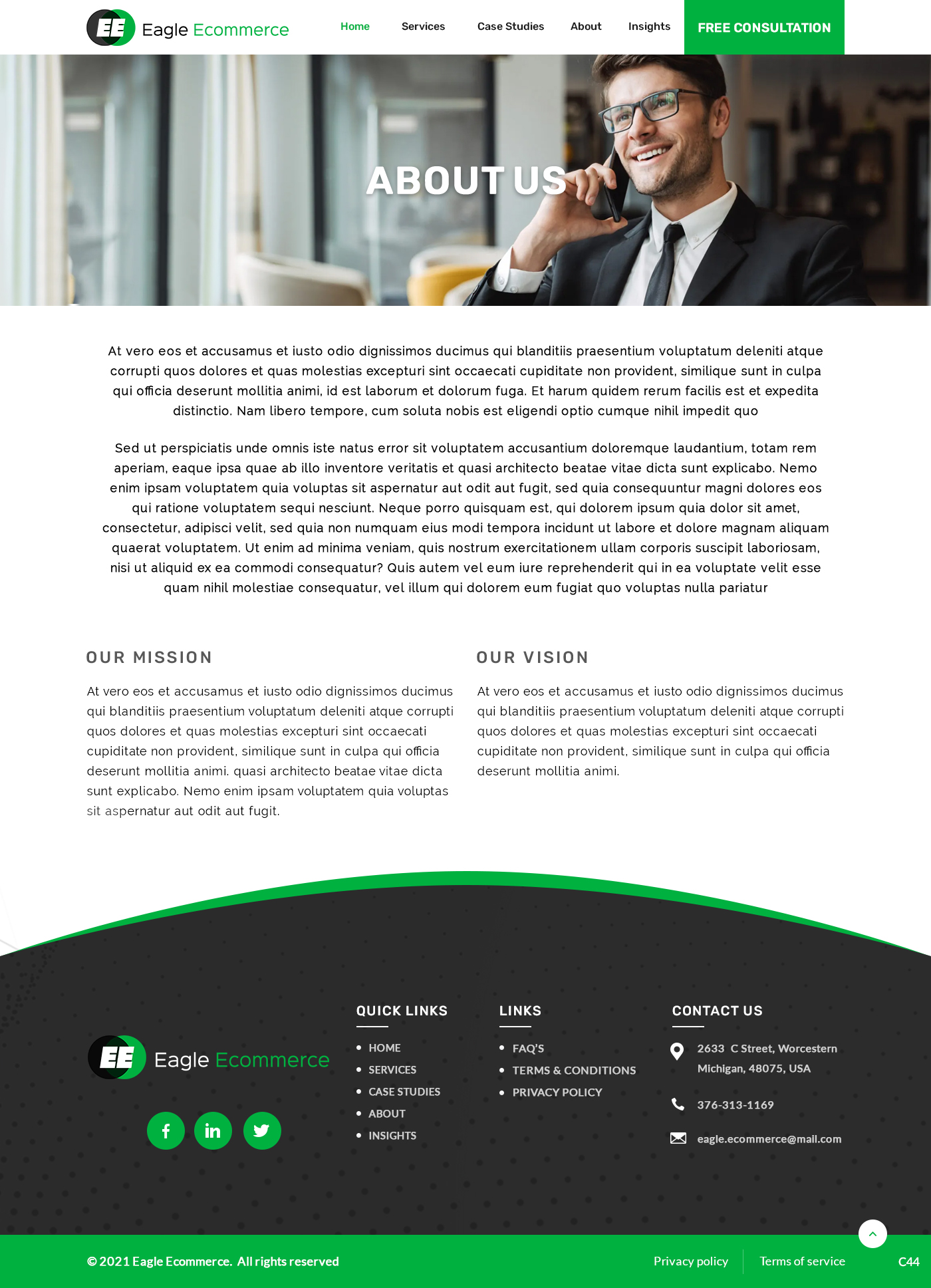 Web Design by pb for Eagle Ecommerce LLC | Design #26523810