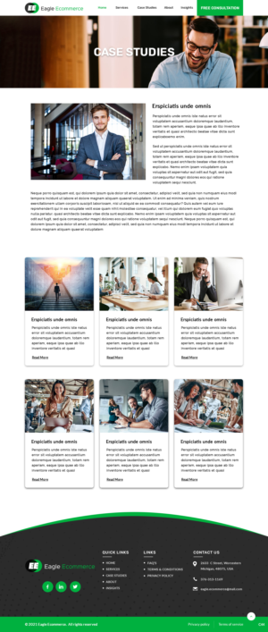 Web Design by pb for Eagle Ecommerce LLC | Design: #26523811