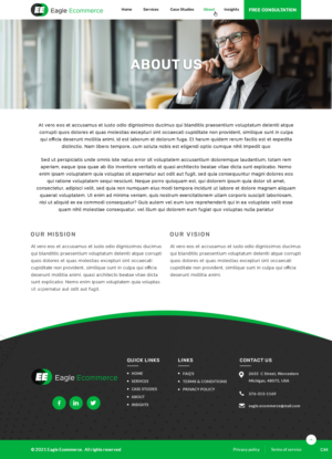 Web Design by pb for Eagle Ecommerce LLC | Design: #26534763