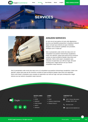 Web Design by pb for Eagle Ecommerce LLC | Design: #26534764