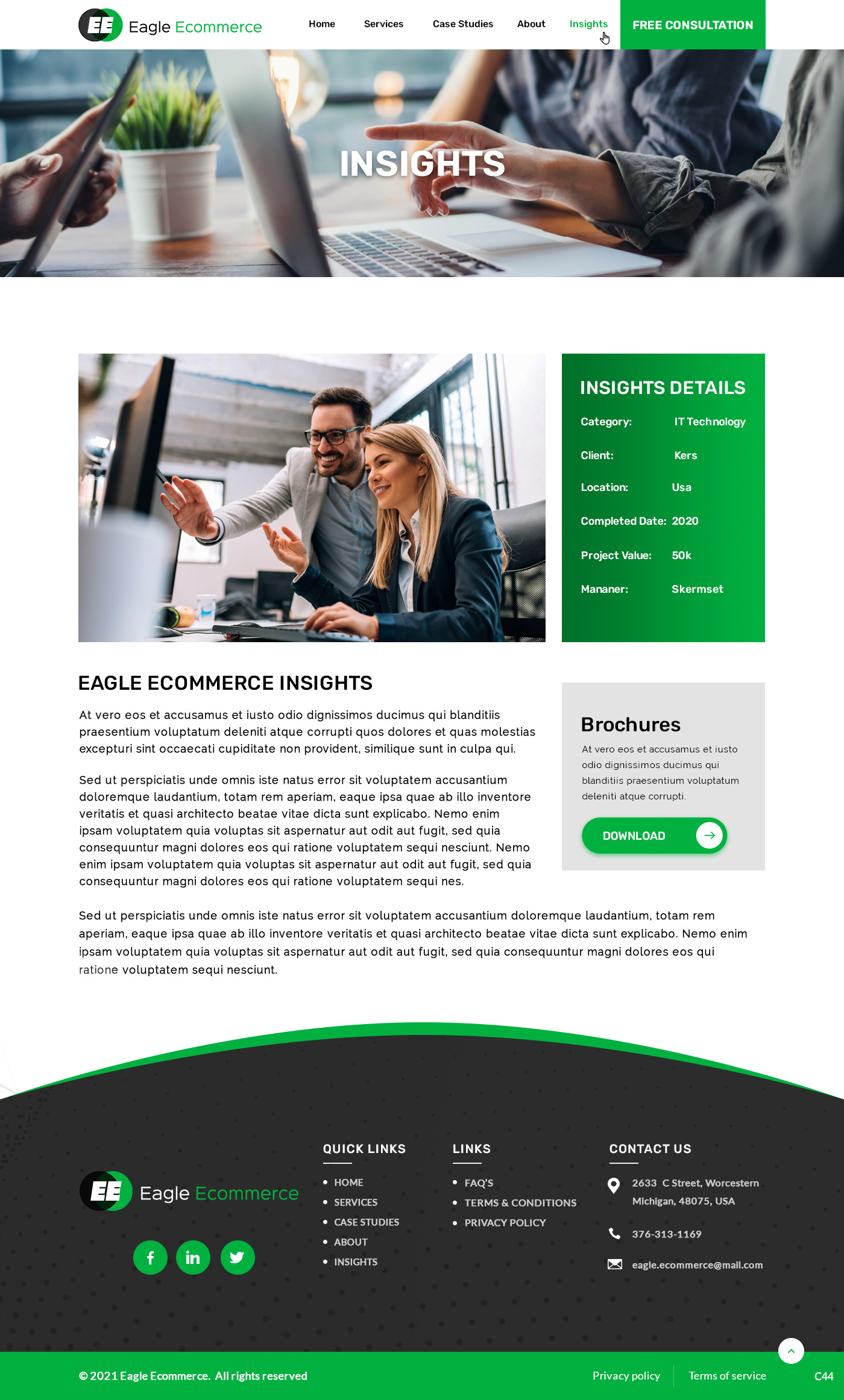 Web Design by pb for Eagle Ecommerce LLC | Design #26534765