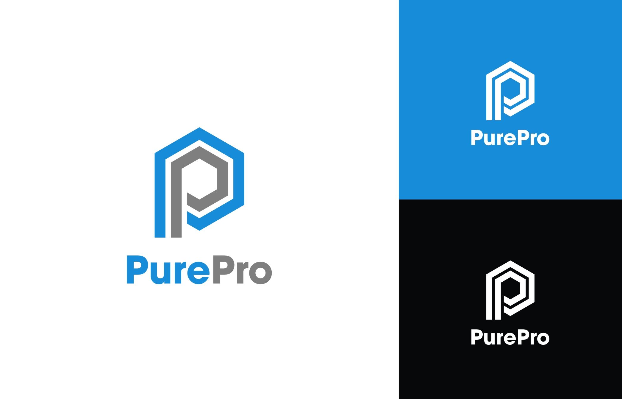 Logo Design by Rizal Bagus for PurePro Solutions Limited | Design #26242152
