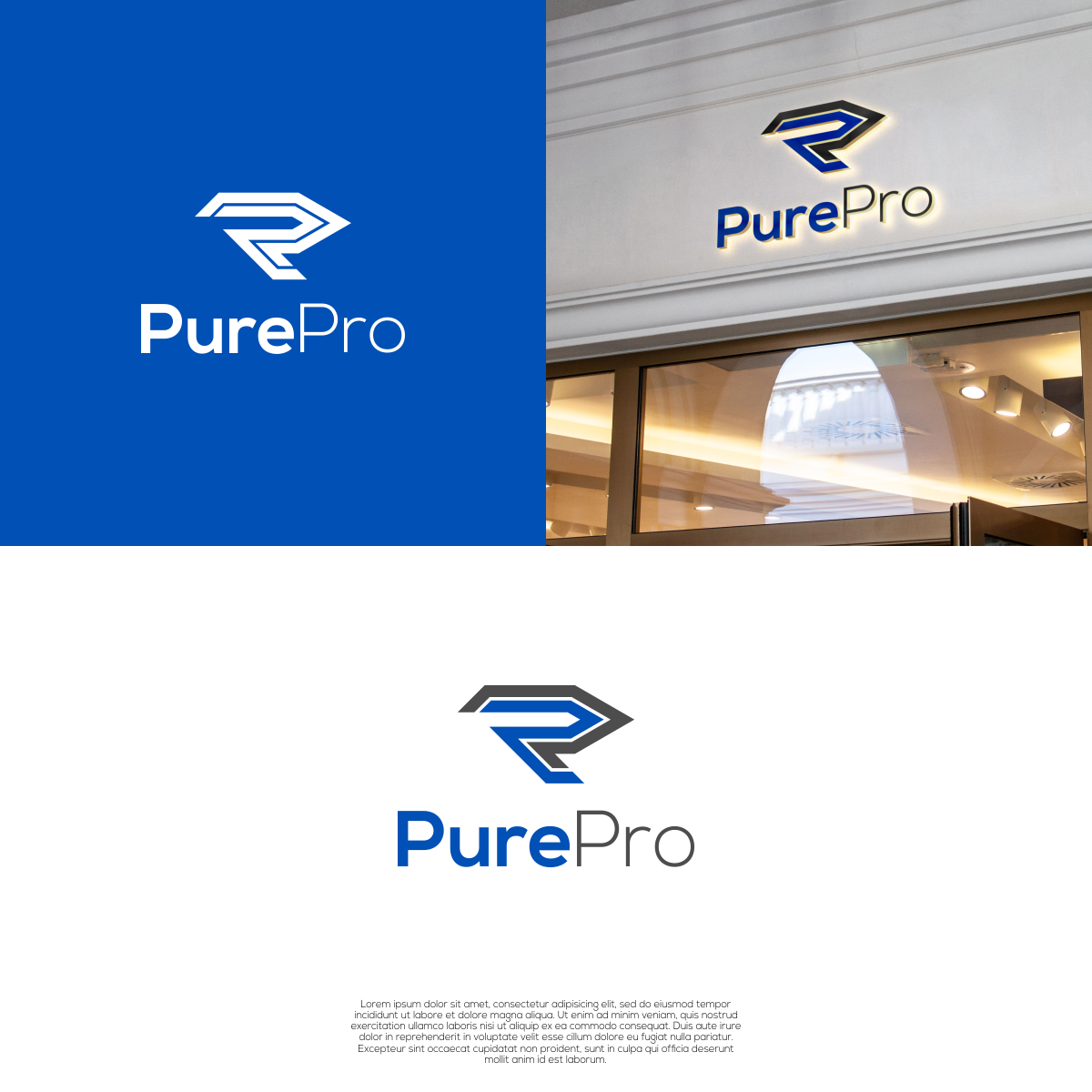 Design de Logo par untung bertubi-tubi pour PurePro Solutions Limited | Design #26228326
