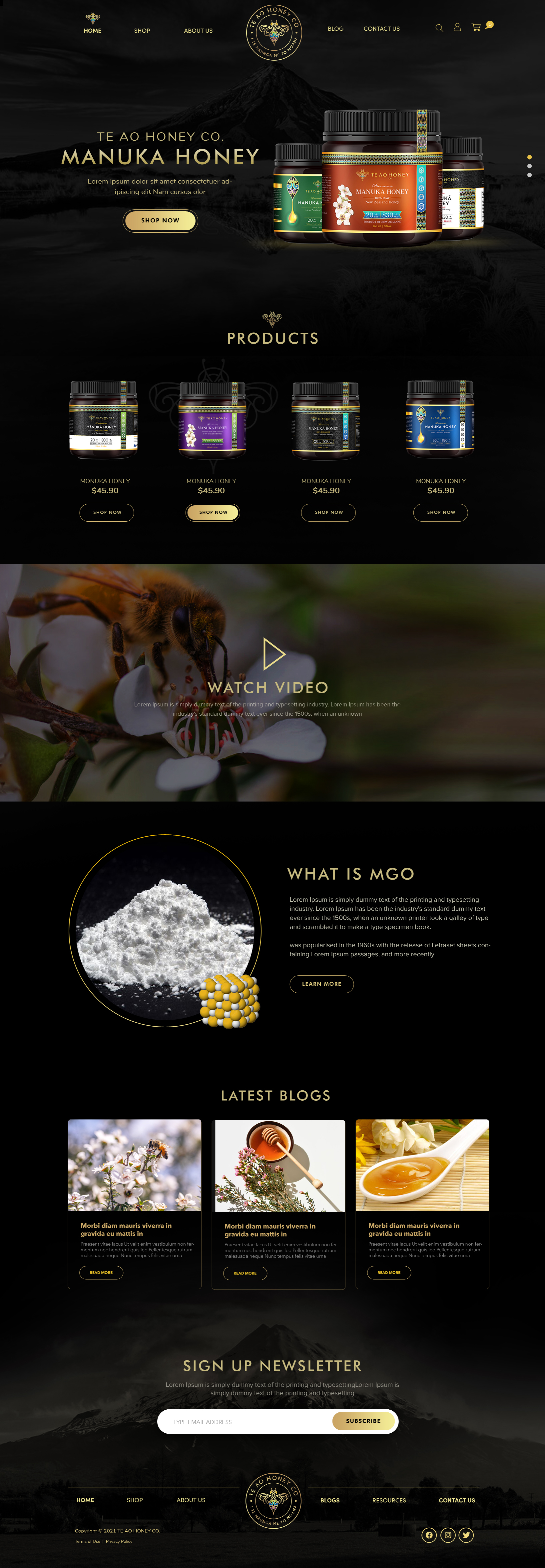 Diseño Web por Blue Sparrow para este proyecto | Diseño #26250454