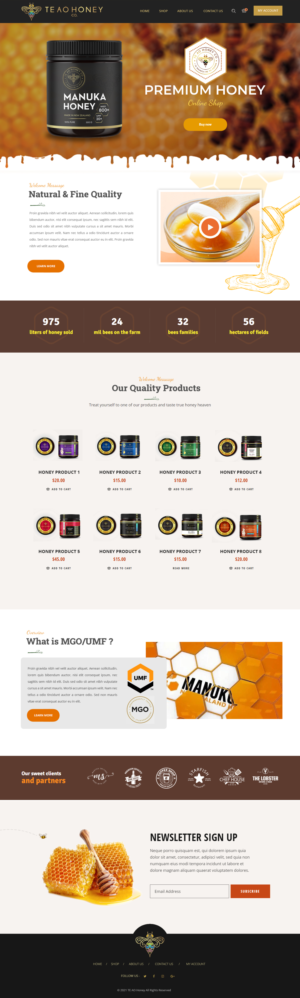Web Design by webxvision