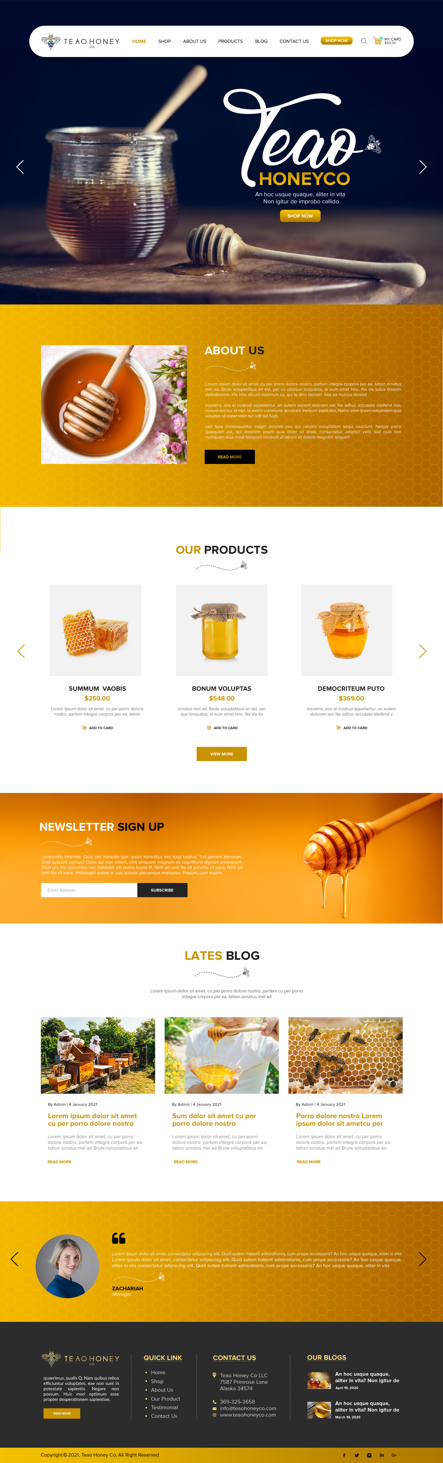 Web Design by chandrayaan.creative for this project | Design #26246553