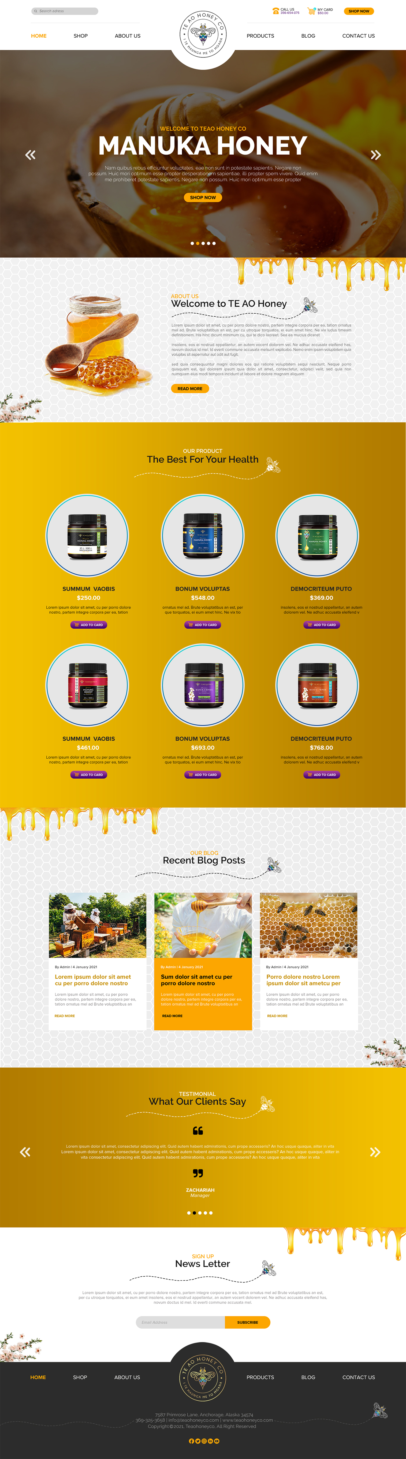 Web Design by chandrayaan.creative for this project | Design #26247984