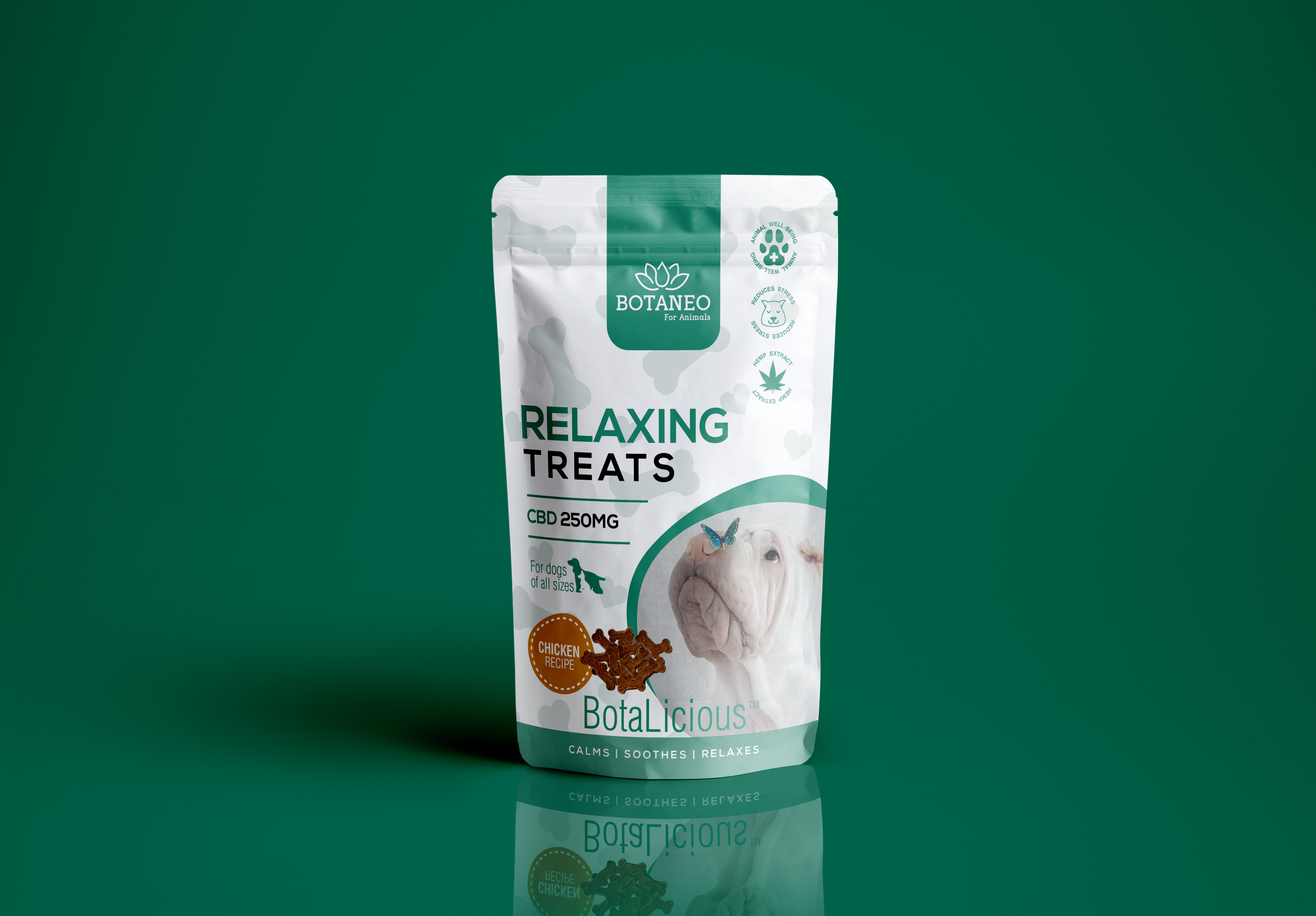 Packaging Design by Nicol Designs for BOTA EUROPE KFT. | Design #26273422