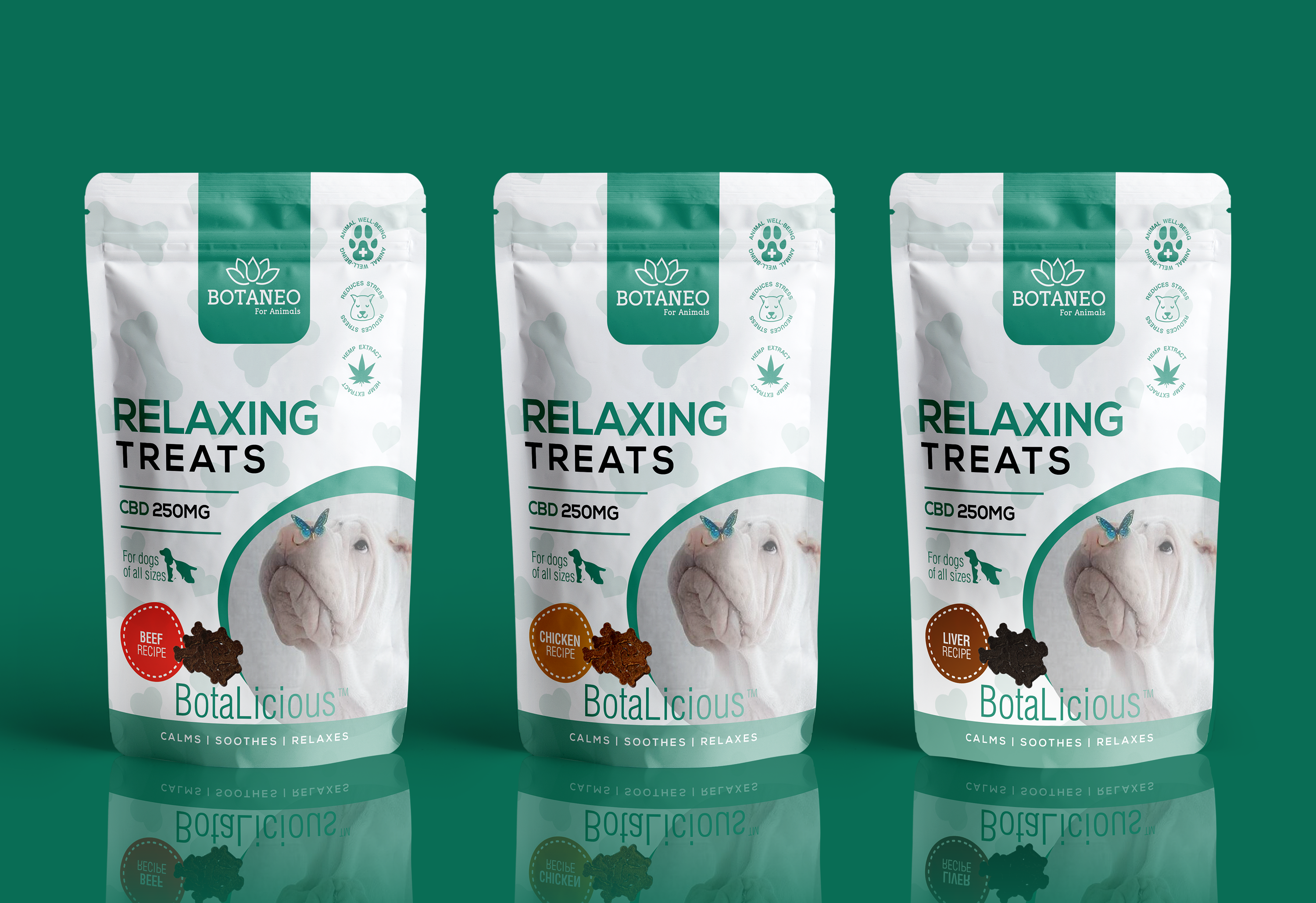 Packaging Design by Nicol Designs for BOTA EUROPE KFT. | Design: #26286891