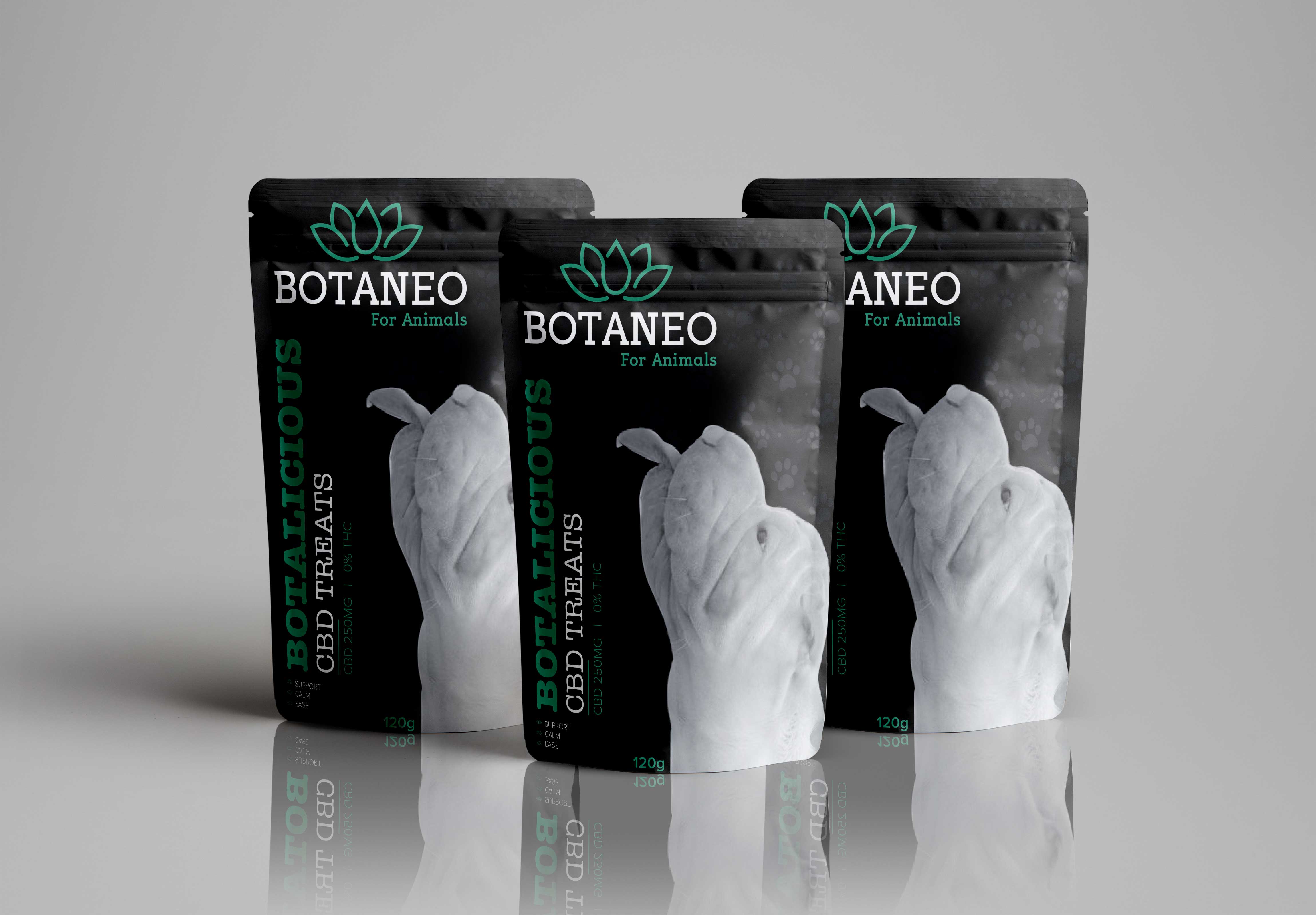 Packaging Design by Shumaila Kiran for BOTA EUROPE KFT. | Design #26243761