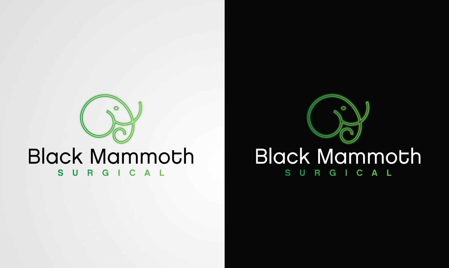 Logo Design by stealth_ferret for this project | Design #26243638