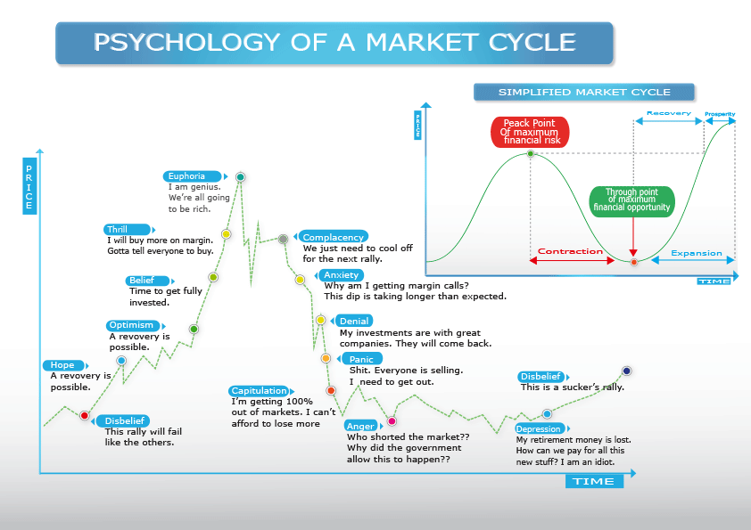 Design Infographie par Noura Studio pour ce projet | Design #26278569