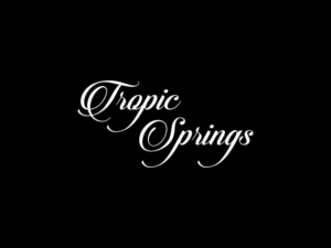 Logo Design by jaxondesign