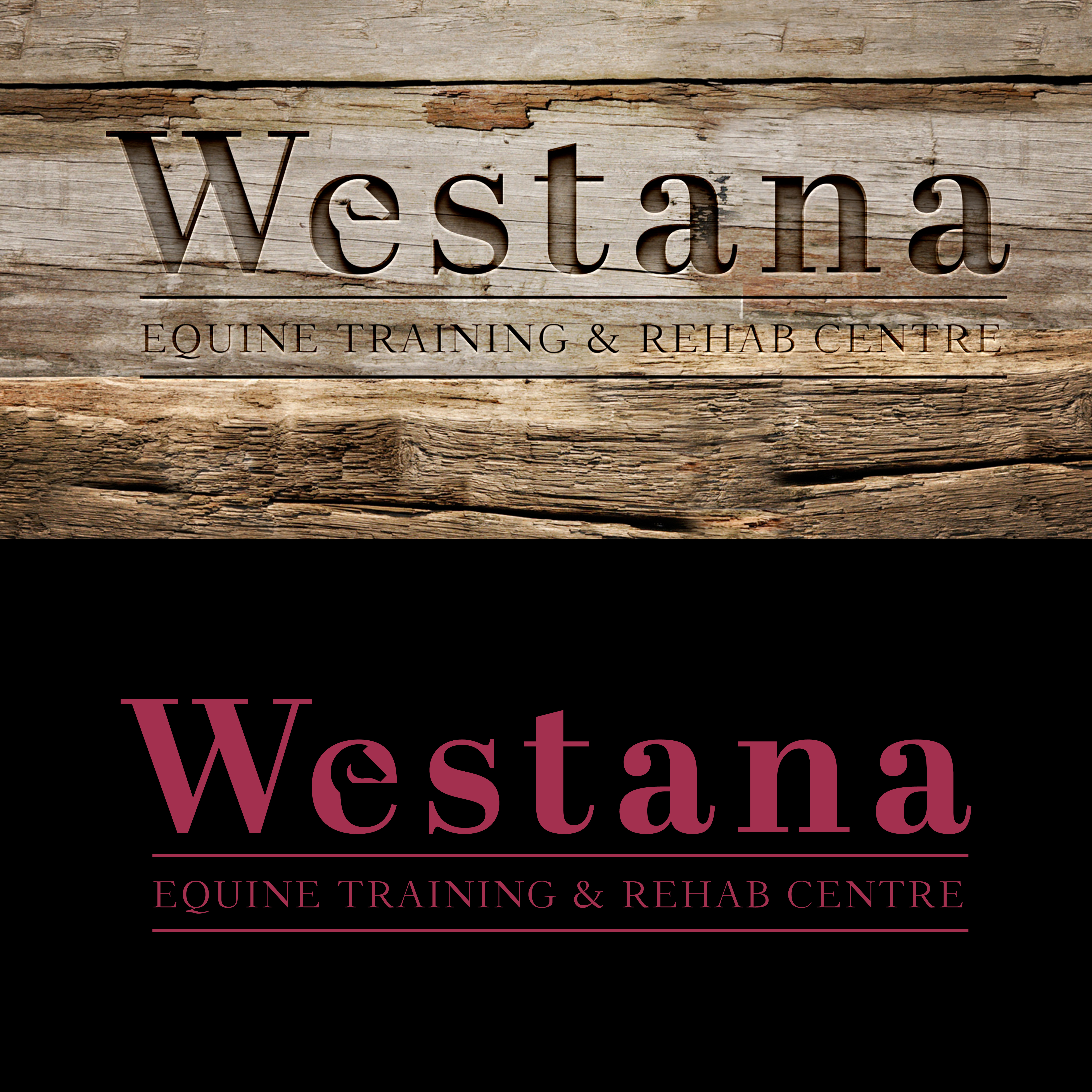 Logo Design by projectsenpai for this project | Design #26256568