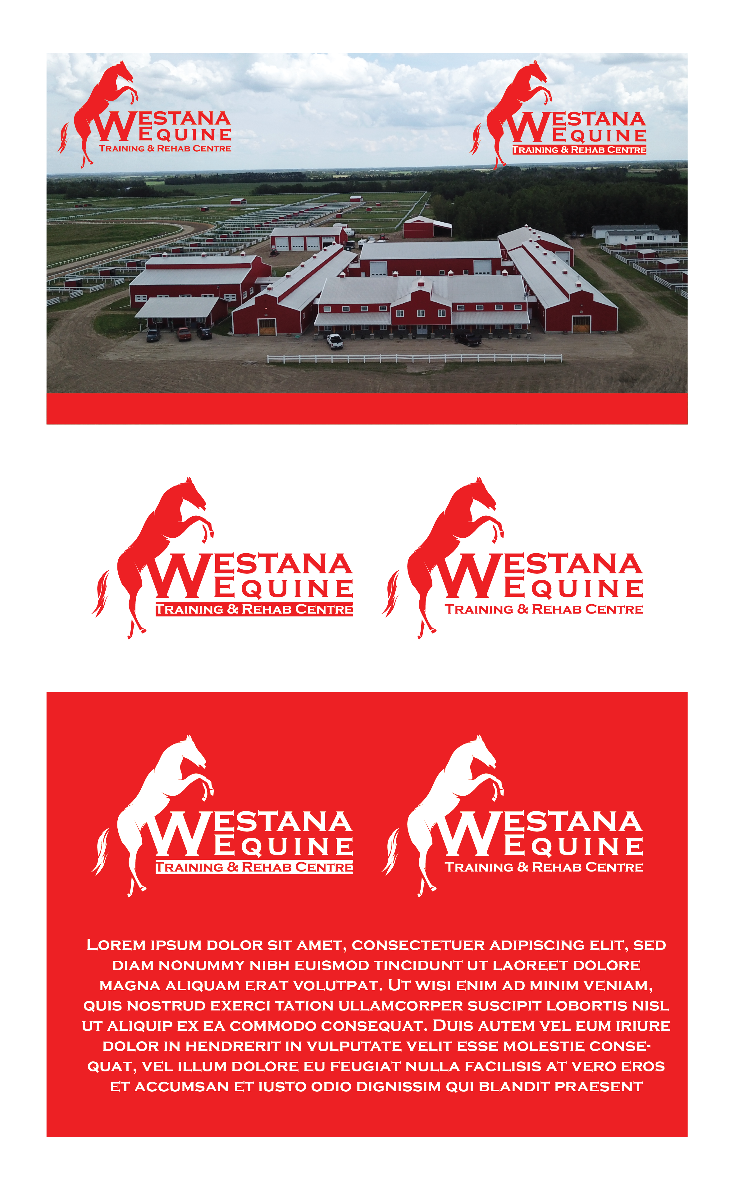 Logo Design by Walker Designer 2 for this project | Design #26252571