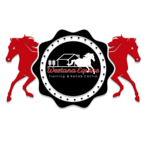 Logo Design by andarjo85 for this project | Design: #26290256