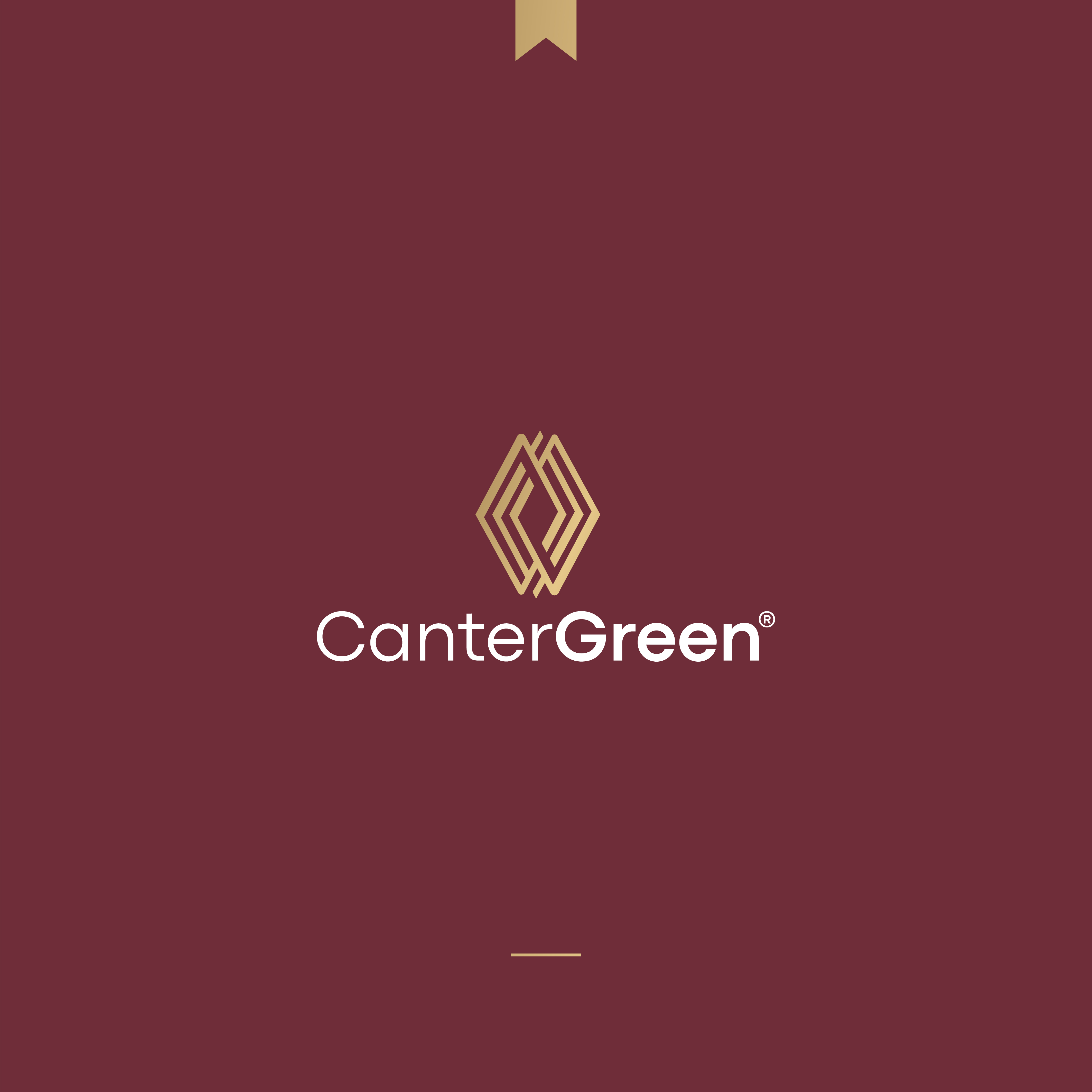 Logo Design by JBalloon Design for this project | Design #26271579