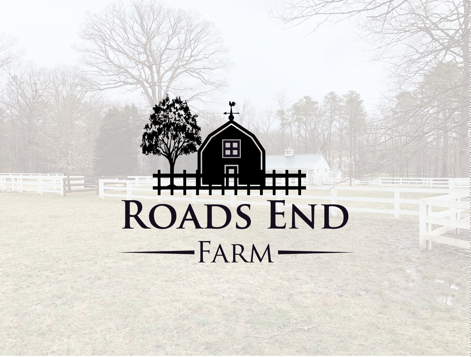 Logo Design by Razikul Rasel for this project | Design #26296015