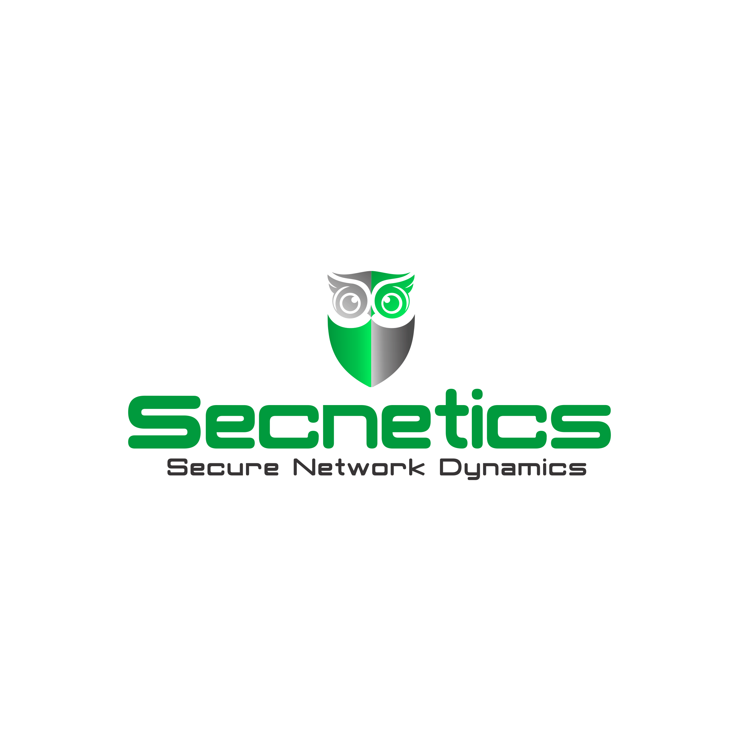 Logo Design by ERLANDO RONTE RDJ for Secnetics | Design #26254828