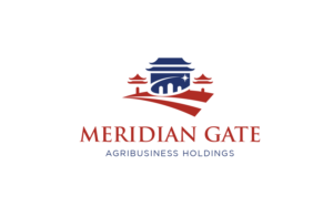 Logo Design by MT