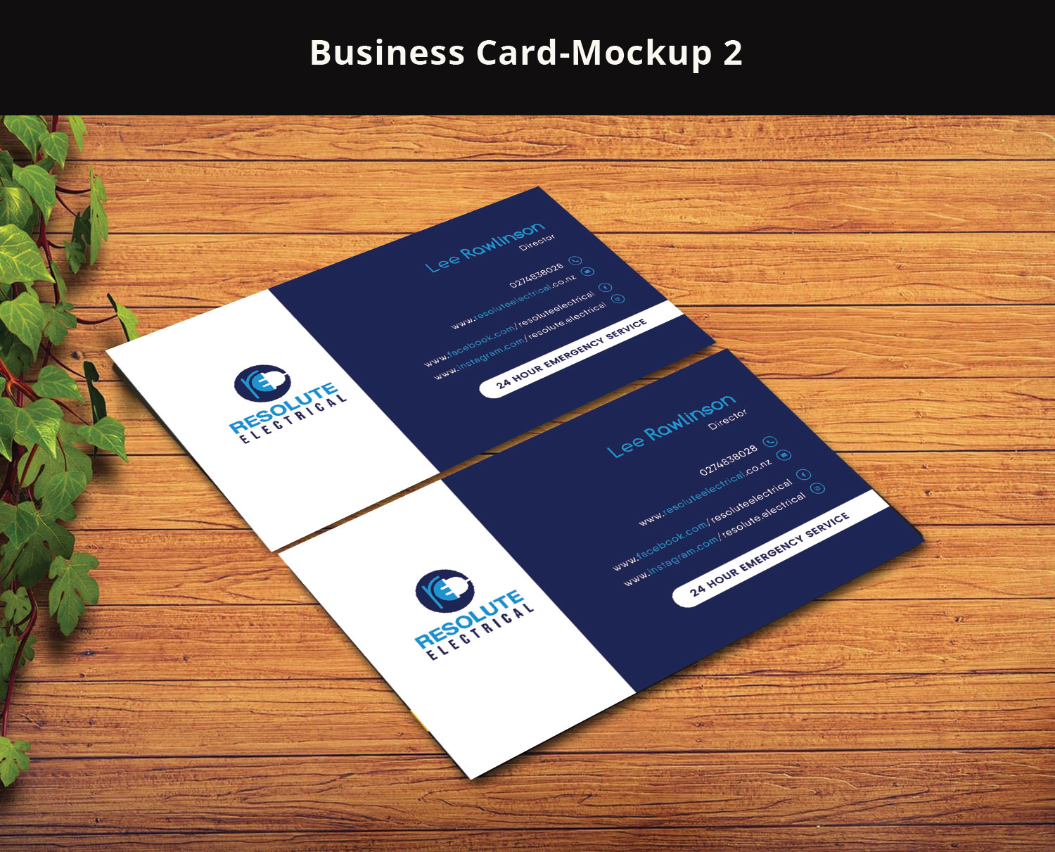 Business Card Design by Expert Designer for this project | Design #26269466